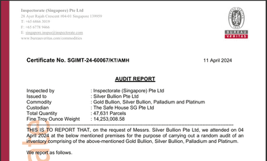 Download the Bullion Audit Report
